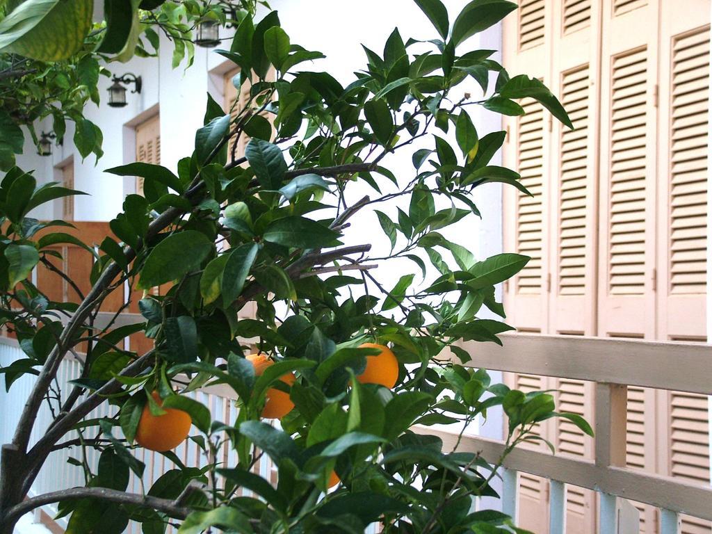George'S Apartment Agia Marina  Camera foto